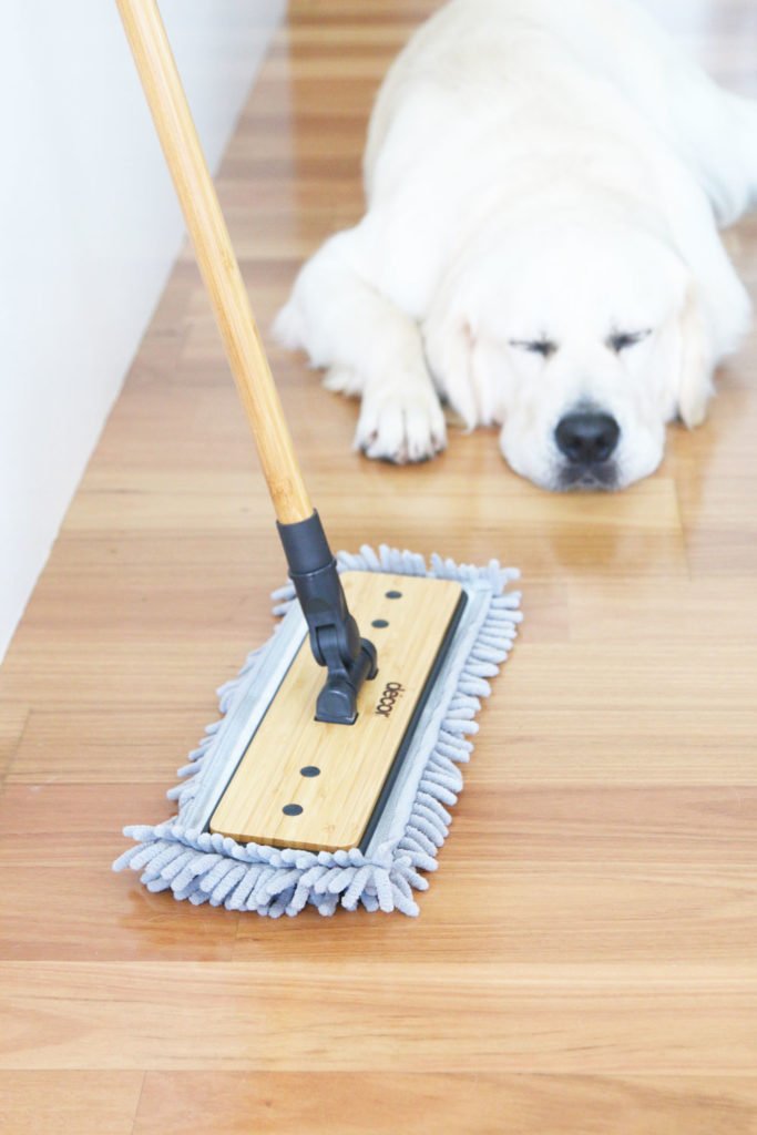 Your Ultimate Guide for Cleaning with Pets